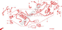 KABELBAUM  für Honda CBR 125 REPSOL 2005
