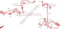 PEDAL für Honda CB 600 F HORNET ABS STRIPE 2009