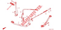 PEDAL/KICKSTARTER ARM für Honda LITTLE CUB 50 2007