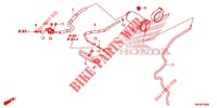 AKTIVKOHLEBEHAELTER für Honda AFRICA TWIN 1100 DCT ADVENTURE SPORT 2020