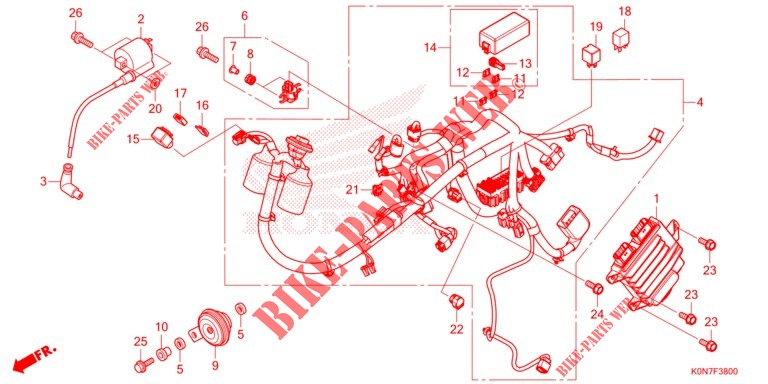 KABELBAUM   für Honda CBF 125 2021