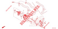WASSERPUMPE für Honda CBR 650 R ABS 2022