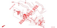 WASSERPUMPE für Honda CBR 650 R ABS 2022