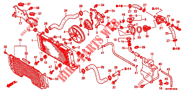    RADIATEUR (CB1300/S) für Honda CB 1300 SUPER FOUR GOLDEN RIMS 2011
