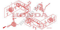 BLINKER(2) für Honda XLS 125 1980