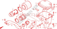 LUFTFILTER für Honda TRX 250 FOURTRAX RECON 2000