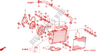 KUEHLER(L.) (VTR1000SP2/3/4/5/6) für Honda VTR 1000 SP2 100CV 2004
