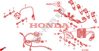 HILFSKABELBAUM für Honda CBR 600 RR ABS TRICOLORE 2011
