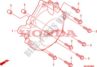 WECHSELSTROM GENERATORABDECKUNG für Honda CBF 1000 F ABS 98HP 2010