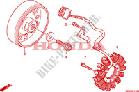 GENERATOR für Honda CBF 600 NAKED ABS 34HP 2010