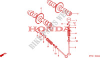 NOCKENWELLE/VENTIL für Honda CB 500 50HP 2002