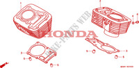 ZYLINDER für Honda VLX SHADOW 600 2 TONE 1999