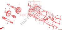 GETRIEBE für Honda SH 125 R, REAR DRUM BRAKE 2010