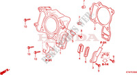 ZYLINDER/PLAETTCHENVENTIL für Honda SH 300 SPORTY ABS SPECIAL 3ED 2008