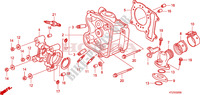 ZYLINDERKOPF für Honda PES 125 INJECTION SPORTY SPECIAL 2010