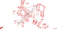 ZYLINDER/PLAETTCHENVENTIL für Honda FORZA 250 ABS 2008