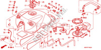 KRAFTSTOFFTANK (CBF600S8/SA8) für Honda CBF 600 FAIRING 25KW 2008