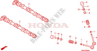 NOCKENWELLE/VENTIL für Honda CBF 600 FAIRING ABS 2008