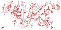 KABELBAUM (NSC50WHC/MPDC) für Honda VISION 50 2012