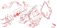 KURBELGEHAEUSEABDECKUNG/WASSERPUMPE für Honda SH 300 2012