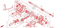 ANTRIEBSZAHNRAD/ HINTERRADACHSE, HINTEN für Honda FOURTRAX 500 FOREMAN RUBICON Power Steering 2012