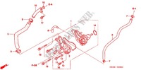 WASSERPUMPE für Honda FOURTRAX 680 RINCON 2012