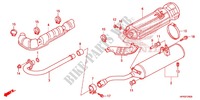 ABGAS SCHALLDAEMPFER(2) für Honda FOURTRAX 420 RANCHER 4X4 Manual Shift RED 2013