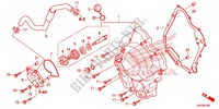 KURBELGEHAEUSEABDECKUNG/WASSERPUMPE für Honda FORZA 300 ABS 2013