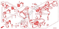 KABELBAUM/BATTERIE für Honda SH 125 ABS SPECIAL 3ED 2014