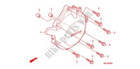 WECHSELSTROM GENERATORABDECKUNG für Honda CBF 1000 F ABS 98HP 2011