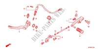 PEDAL für Honda CB 1300 SUPER FOUR TOURING 2012