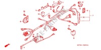 KABELBAUM/BATTERIE für Honda EX5 DREAM 100, Kick start 2012
