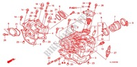ZYLINDER/ZYLINDERKOPF für Honda BIG RED 700 2013