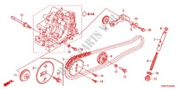 NOCKENWELLENKETTE/SPANNVORRICHTUNG für Honda WAVE 110 Front brake disc, Electric start 2011