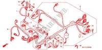 KABELBAUM (AVANT) für Honda RVT 1000 R RC51 2000