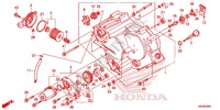 VORDERE KURBELGEHÄUSE ABDECKUNG für Honda FOURTRAX 420 RANCHER 4X4 Manual Shift CAMO 2014