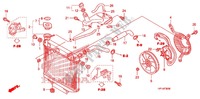 KUEHLER für Honda TRX 450 R SPORTRAX Electric Start WHITE 2012