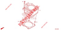 ZYLINDER für Honda FOURTRAX 520 FOREMAN RUBICON 4X4 AT DCT EPS DELUXE 2020